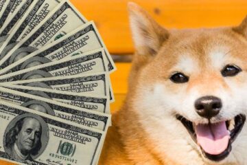 How much does a shiba inu cost